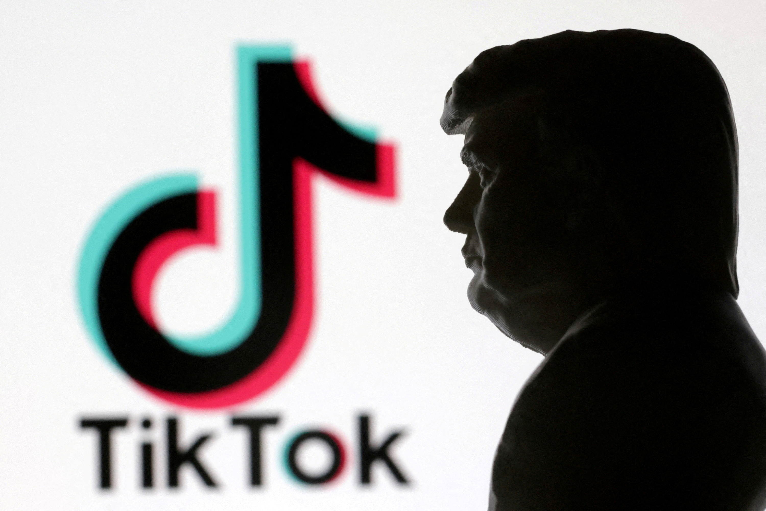 A 3D-printed miniature model of US President Donald Trump and TikTok logo are seen in this illustration. (Reuters)